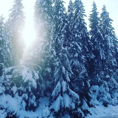 Apartament Ogy's Kopaonik