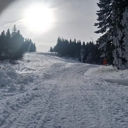 Ogy's Kopaonik